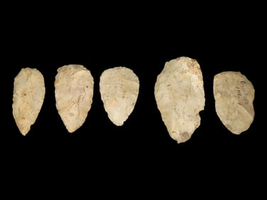 Lot of Miscellaneous Flint -i.e.-Blades, Common Arrowheads, Bird Points, and/or Gouges/Adzes