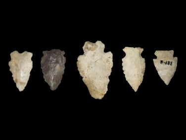 Lot of Miscellaneous Flint -i.e.-Blades, Common Arrowheads, Bird Points, and/or Gouges/Adzes