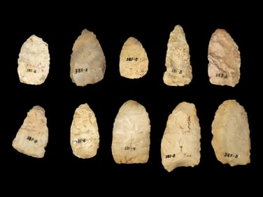 Lot of Miscellaneous Flint -i.e.-Blades, Common Arrowheads, Bird Points, and/or Gouges/Adzes