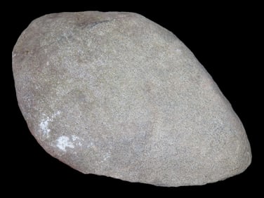 7 1/4" Slate Spade