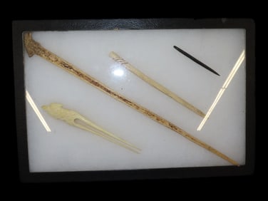 Ryker Case with 4 Bone Hair Pins