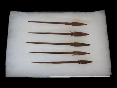 Ryker Case containing 5 AFrican Iron Spear Points