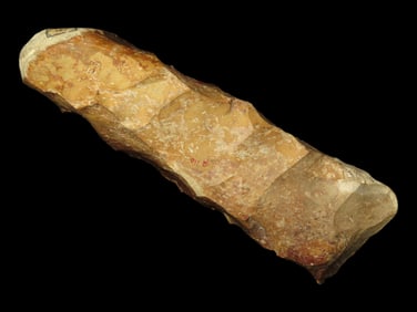 9 1/4" Large Danish Celt, Island of Lolland, Denmark