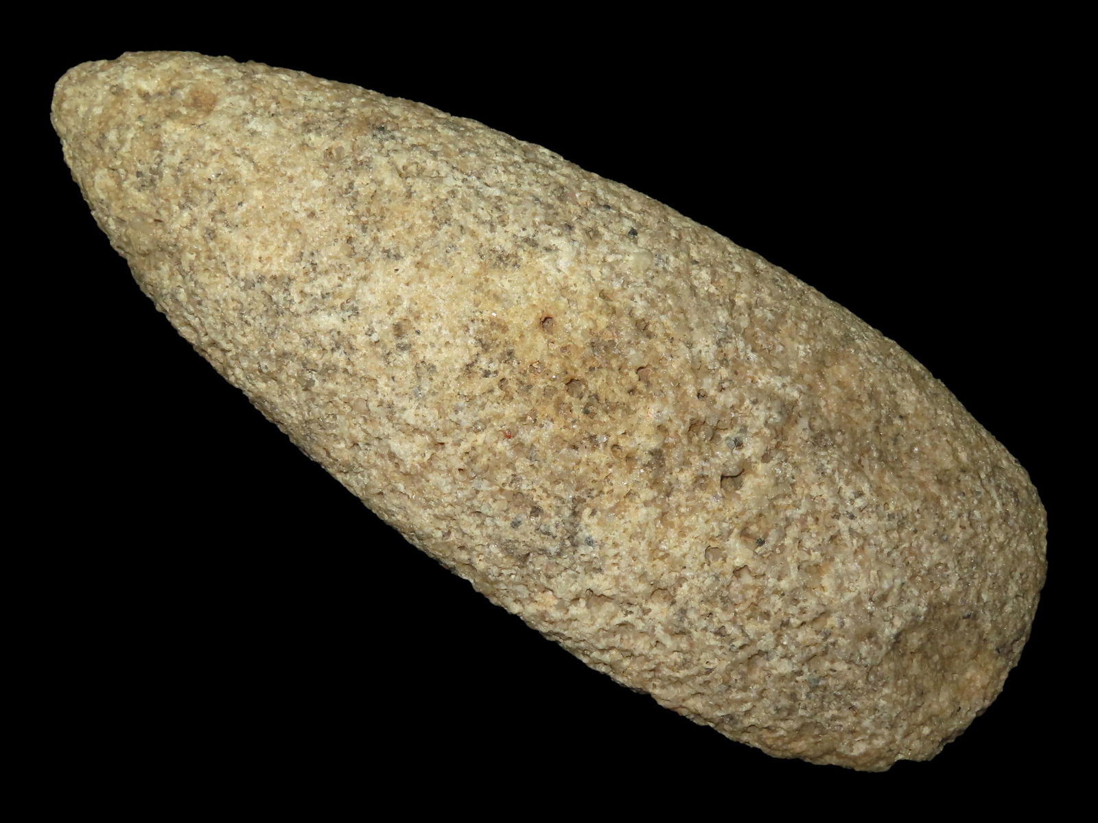 9 1/2" Rare Coral Celt, Belize (1 of 8)