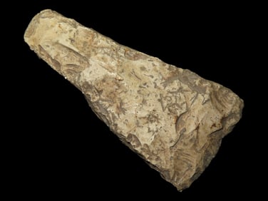 4 3/4" Danish Flint Celt Axe, Europe