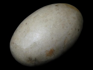 2 3/4" Shiva Lingam Stone, Narmada River, India