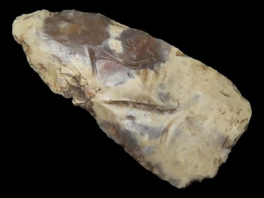 3 1/4" Colorful Blade, Wisconsin