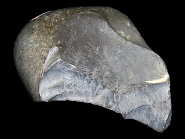 4 3/4" Mousterian Hand Axe, Mauritania