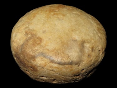3 3/4" Quartzite Biscuit Disc., Jackson Co., Illinois