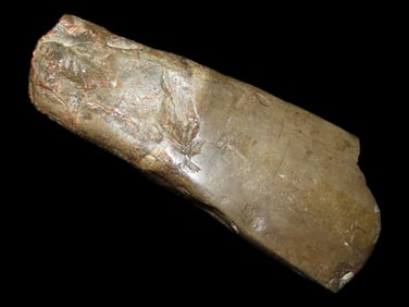 6 1/2" Danish Flint Celt or Axe from Denmark