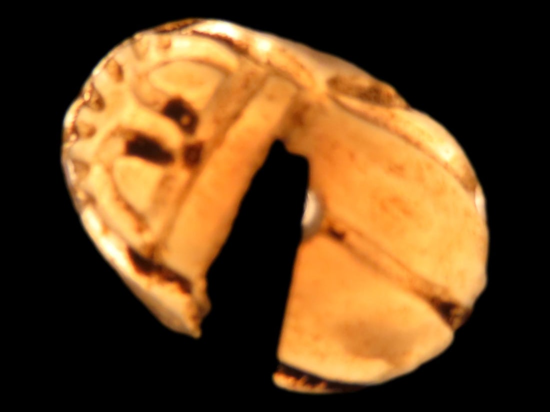 3/4" Rare Egyptian Clear Quartz Scarab: 3/4" Rare Egyptian Clear Quartz Scarab