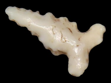 1/4" Miniature Bird Pt, Found in the Same Site by