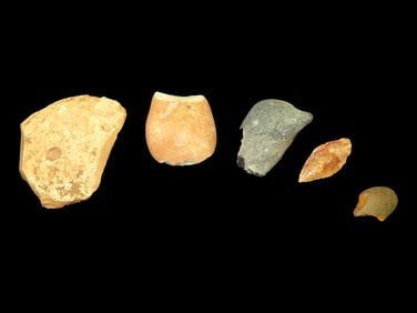 Flint and Hardstone Tool Early Man from Around the World