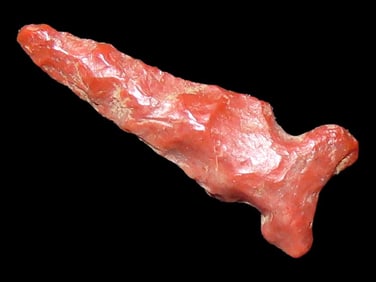 1/2" Miniature Bird Pt, Found in the Same Site by