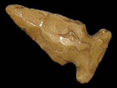 1/2" Miniature Bird Pt, Found in the Same Site by