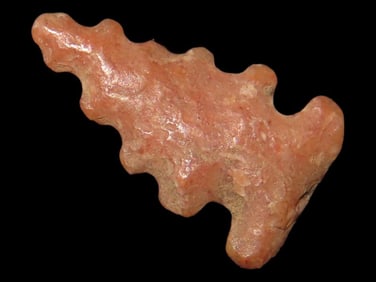 8/16" Miniature Bird Pt, Found in the Same Site by