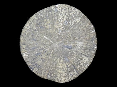 5 1/4" X 6 1/4" Pyrite Disc, or "Miner's Dollar", Lost Civilizations COA, found in Sparta, Illinios