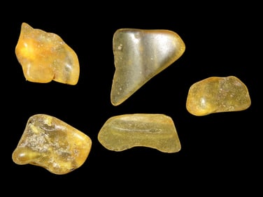Lot of 5 Amber Pieces from Columbia