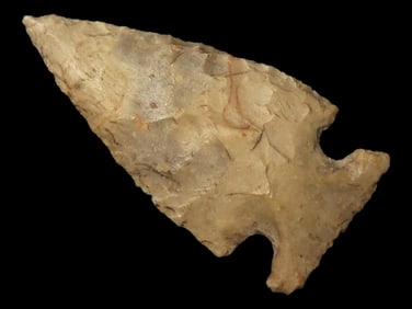 1 1/4" Koster Bird Pt., Scott Co., Illinois
