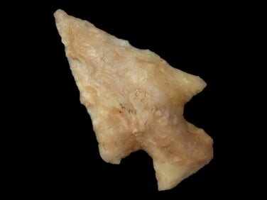 7/8" Bird PT., Northeast Arkansas