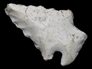 1 1/2" Bolen Bevel found in Florida