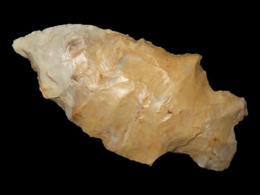 2 3/4" Woodland Point found in Arkansas