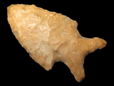 2 1/4" Big Sandy Contracting Base, found in Arkansas