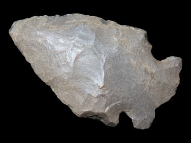 2 3/8" Woodland Point found in Arkansas