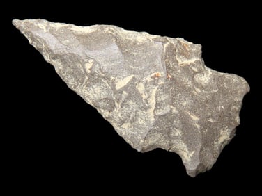 1 1/2" Woodland Point found in Arkansas