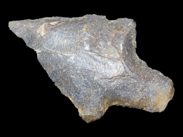 2 1/2" Adena found in Arkansas