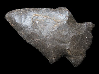 2" Woodland Point found in Arkansas