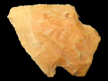 1 3/4" Woodland Point found in Arkansas