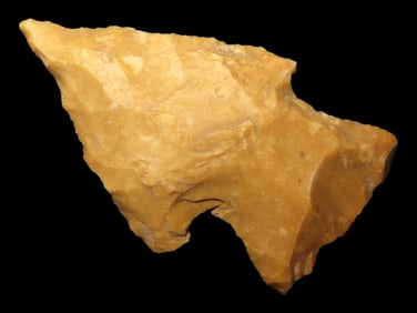 1 3/4" Woodland Point found in Arkansas