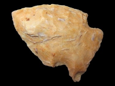 1 3/4" Woodland Point found in Arkansas
