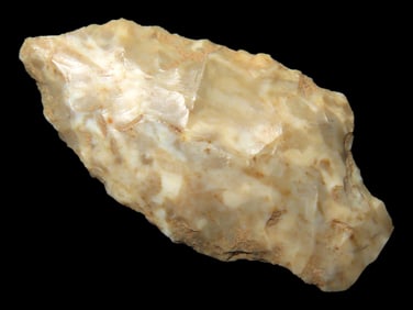 1 5/8" Woodland Point found in Arkansas