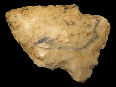 1 3/4" Woodland Point found in Arkansas