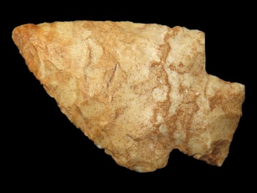 2" Woodland Point found in Arkansas