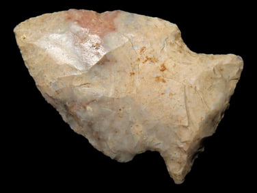 1 3/4" Woodland Point found in Arkansas