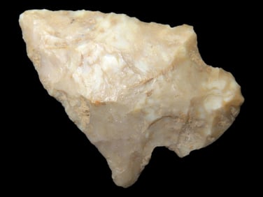 1 3/4" Woodland Point found in Arkansas