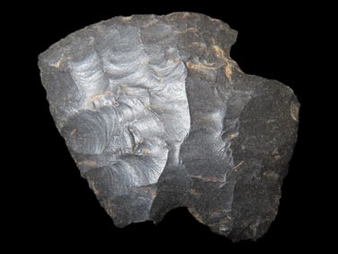 1 3/4" Woodland Point found in Arkansas