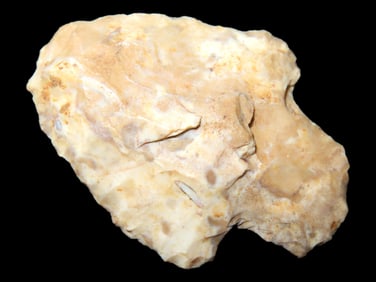1 5/8" Woodland Point found in Arkansas