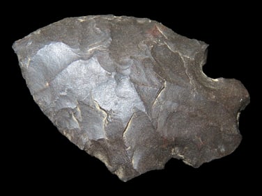 2" Woodland Point found in Arkansas