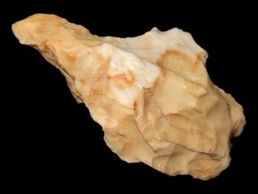 2 1/4" Woodland Point found in Arkansas