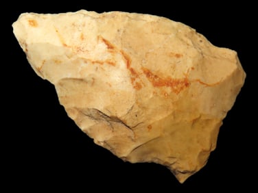 1 3/4" Woodland Point found in Arkansas