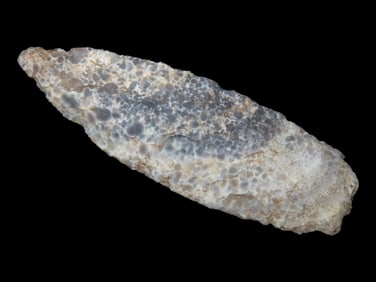 3 7/8" Sedalia found in Benton Co., Missouri