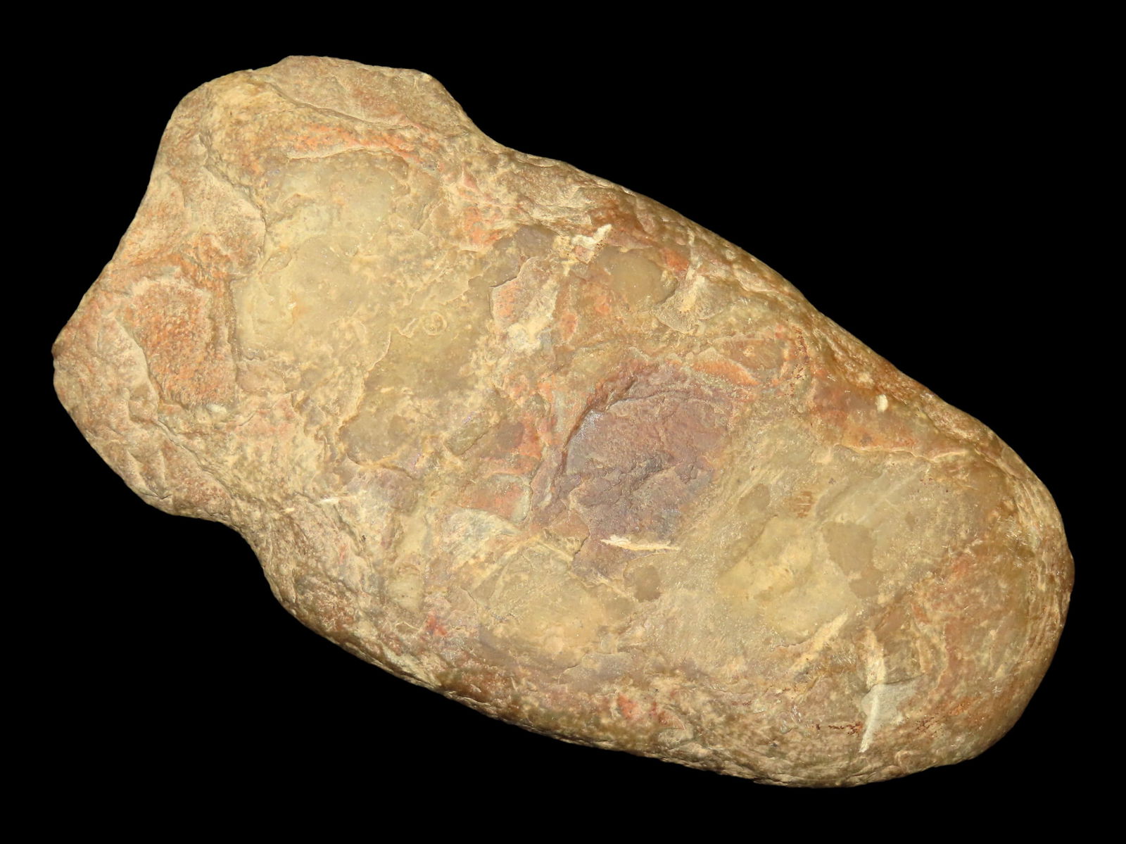 3 3/4" Full Groove Axe found in Arkansas (1 of 9)