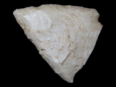 1 5/8" Woodland Point found in Arkansas
