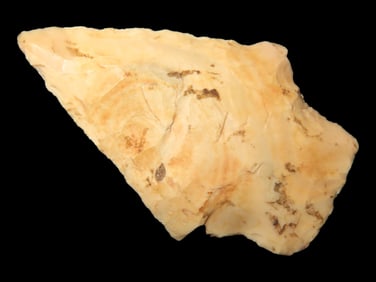 1 3/4" Woodland Point found in Arkansas