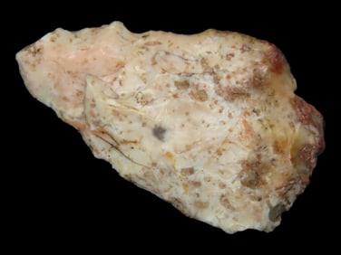 2 1/4" Woodland Point found in Arkansas