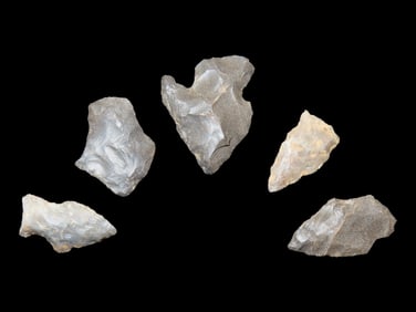 Grouping of 5 Arrowheads found in Arkansas